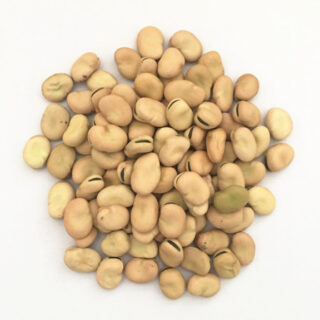 Fava Beans