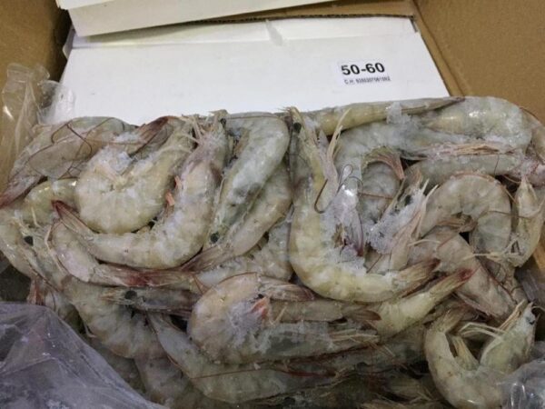Shrimps - Image 2