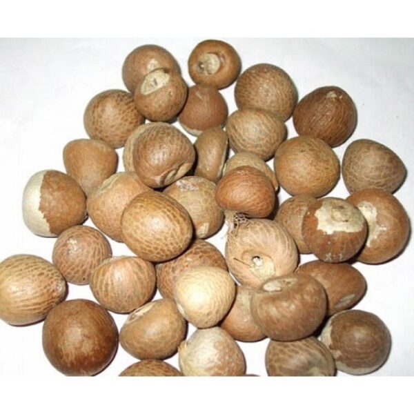 Betel Nuts