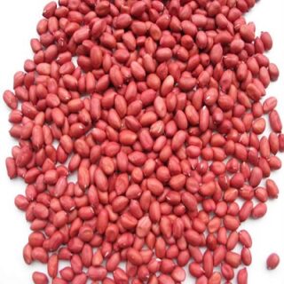 Peanut / Groundnut
