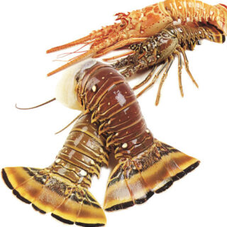 Crawfish