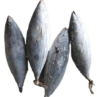 Frozen Yellowfin Tuna