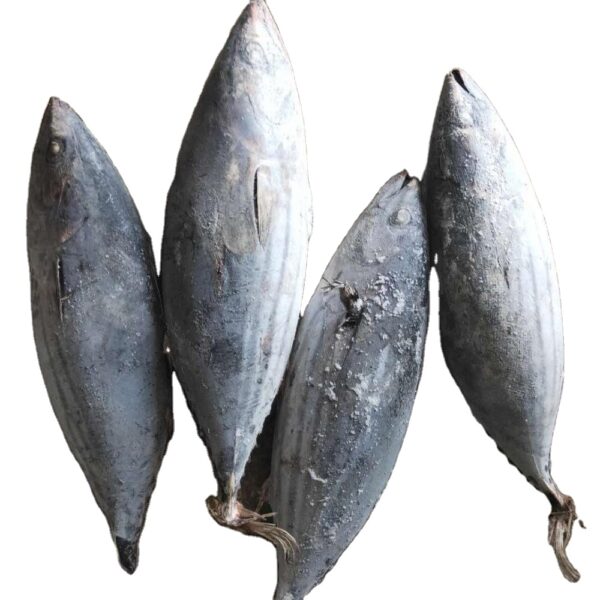 Frozen Yellowfin Tuna