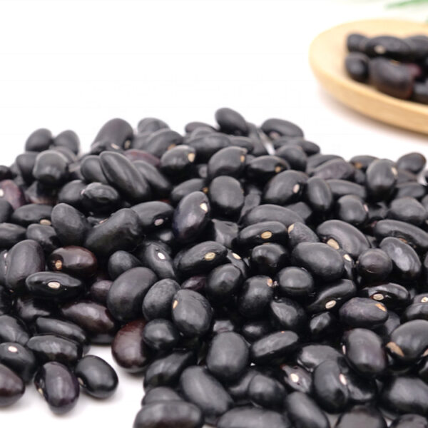 Kidney Beans - Image 3