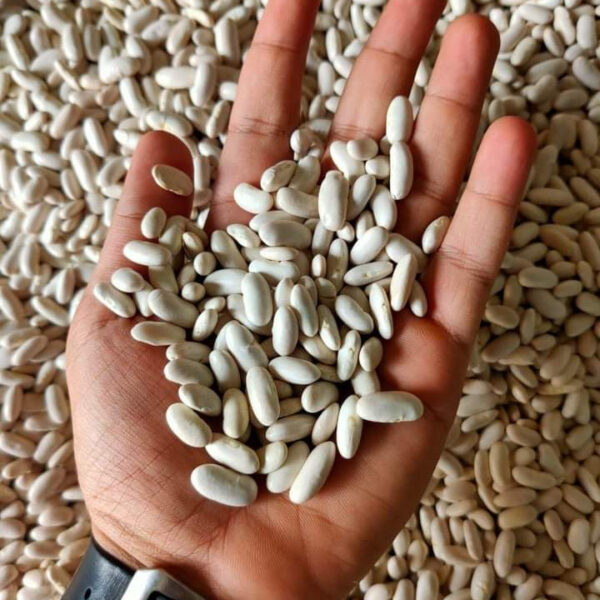 Kidney Beans - Image 2