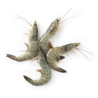 Shrimps