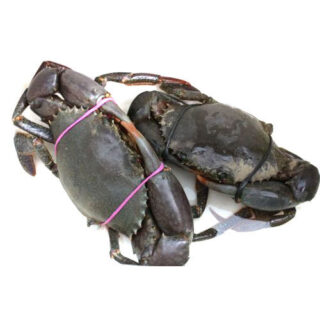 Mud Crab & King Crab