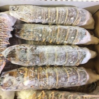 Live / Frozen Lobster