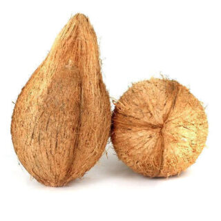 Fully / Semi-Husked Coconut