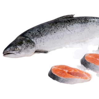 Frozen Salmon